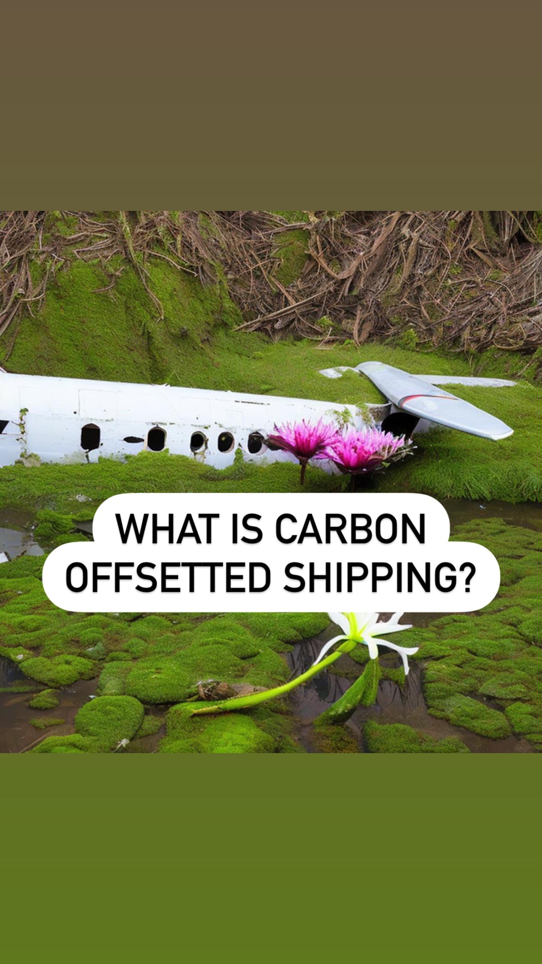 What does carbon offsetting shipping mean?