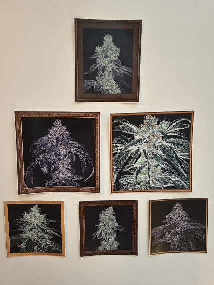 Sticker Set Hemp Pack