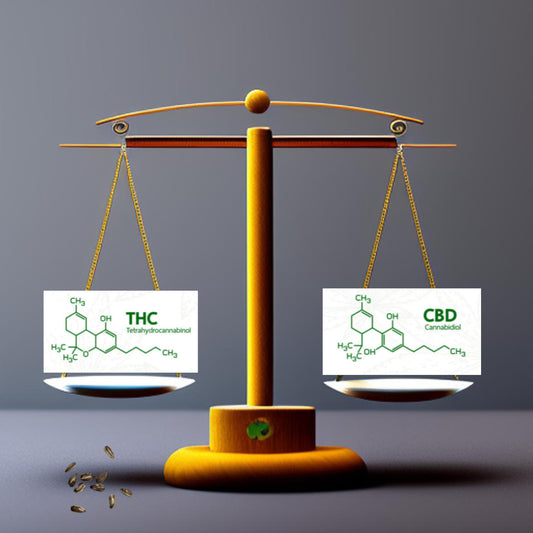 Hemp Seed Oil Compared to CBD and THC Oils