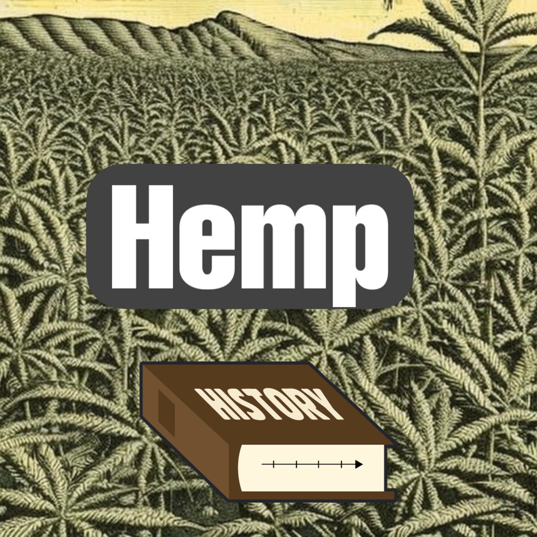 Hemp History A Timeline