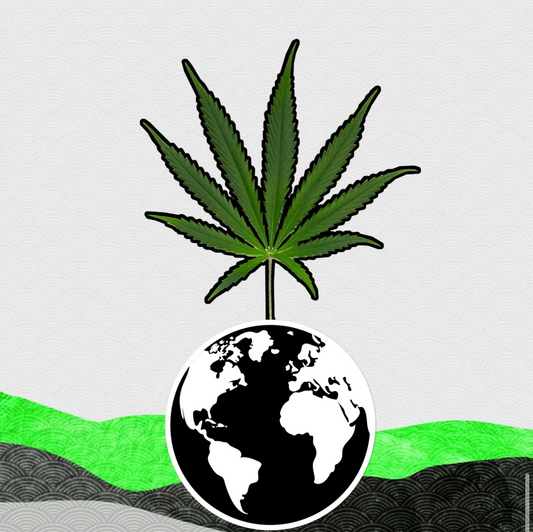 What is Hemp?